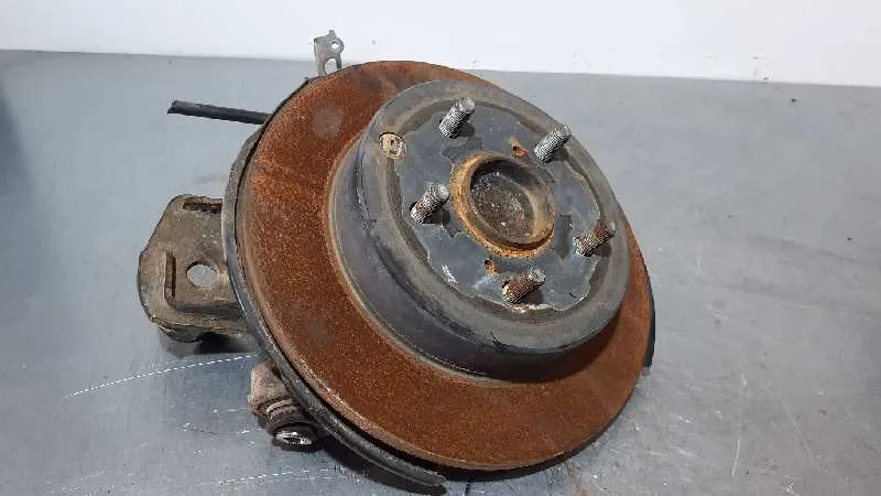 Mangueta Trasera Izquierda para Toyota Rav 4 (A3)