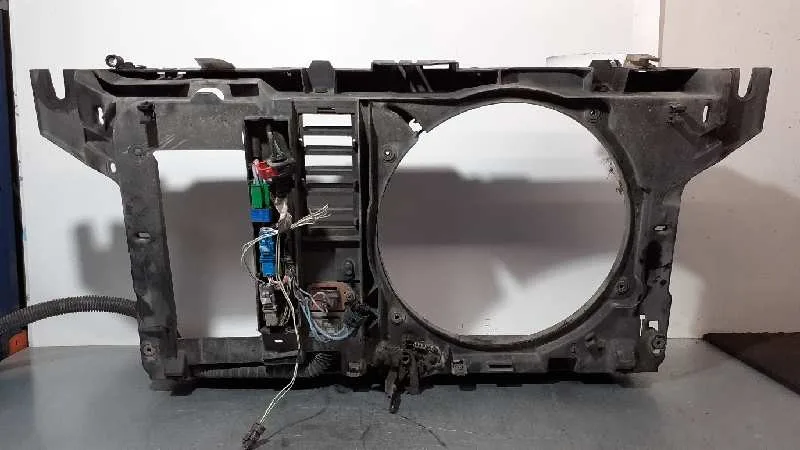 Panel Frontal para Citroën C5 Berlina