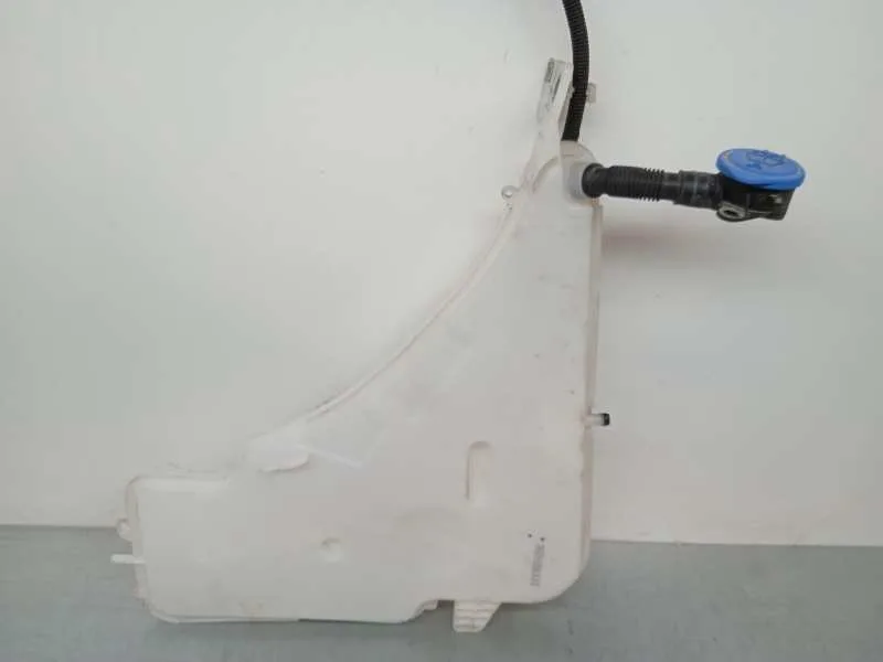 Deposito Limpia para Bmw Serie M2 Coupe (F87)