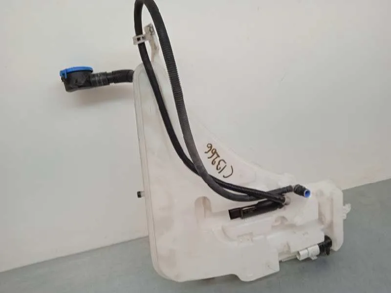 Deposito Limpia para Bmw Serie M2 Coupe (F87)