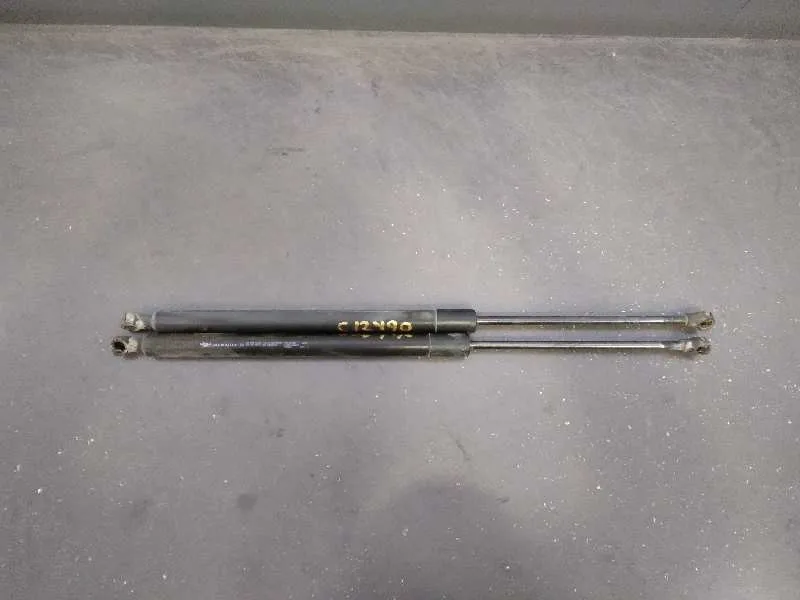 Amortiguadores Maletero / Porton para Renault Scenic Iii