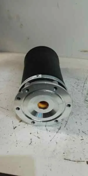 Amortiguador Delantero para Audi Allroad Quattro (4B5)
