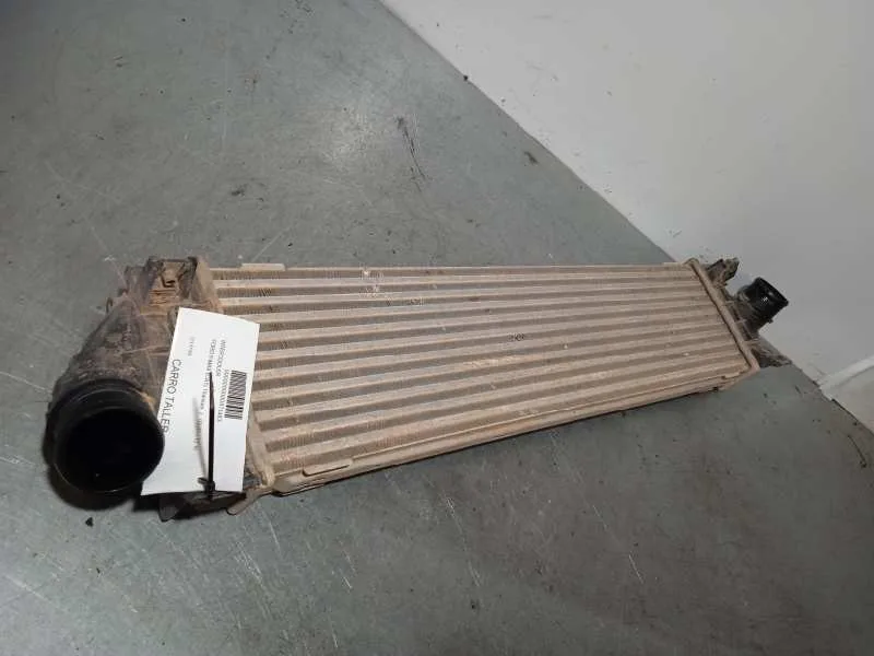 Intercooler para Ford S-Max (Ca1)