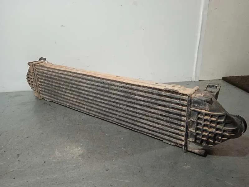 Intercooler para Ford S-Max (Ca1)