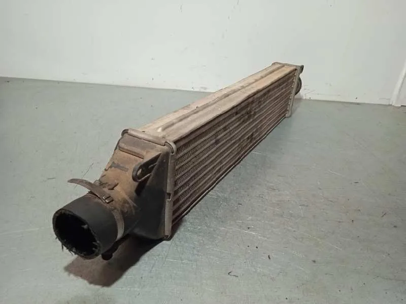Intercooler para Fiat Grande Punto (199)