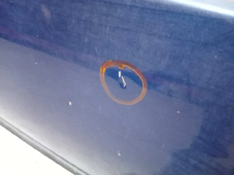 Puerta Delantera Derecha para Renault Twingo