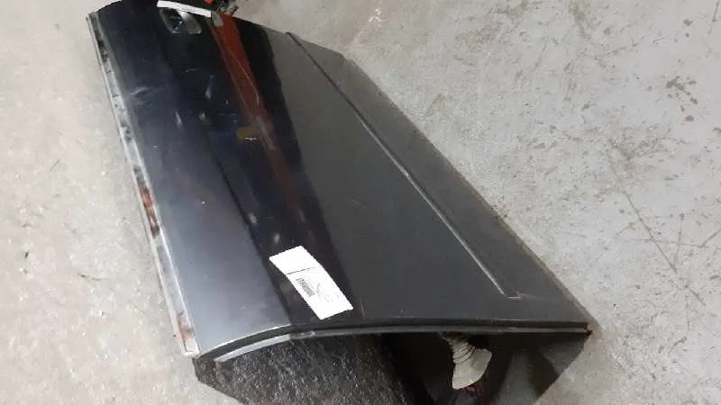 Puerta Delantera Izquierda para Audi A4 Avant (8E)