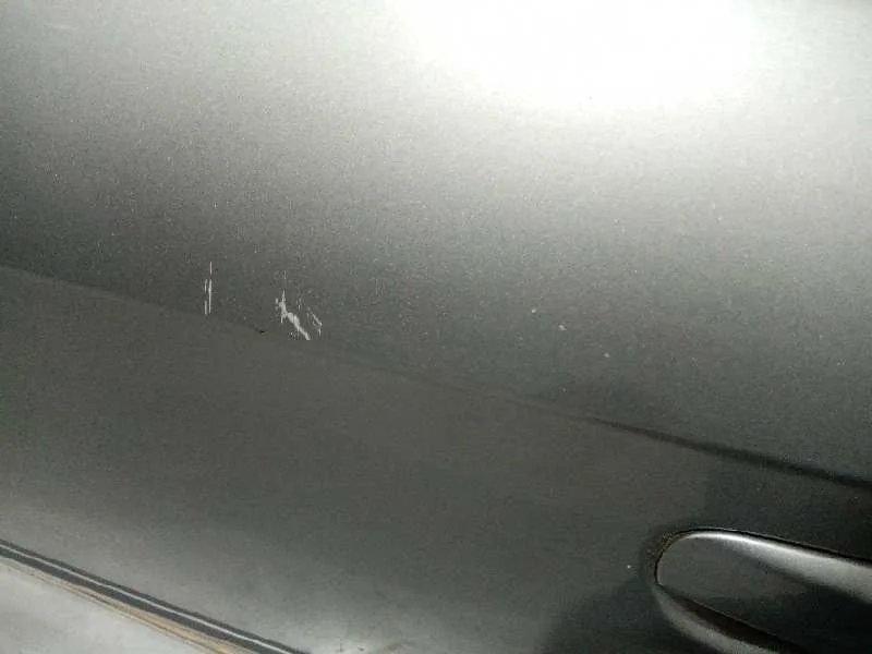Puerta Delantera Izquierda para Audi A4 Berlina (8E)