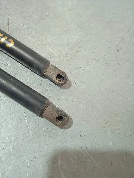 Amortiguadores Maletero / Porton para Opel Zafira B