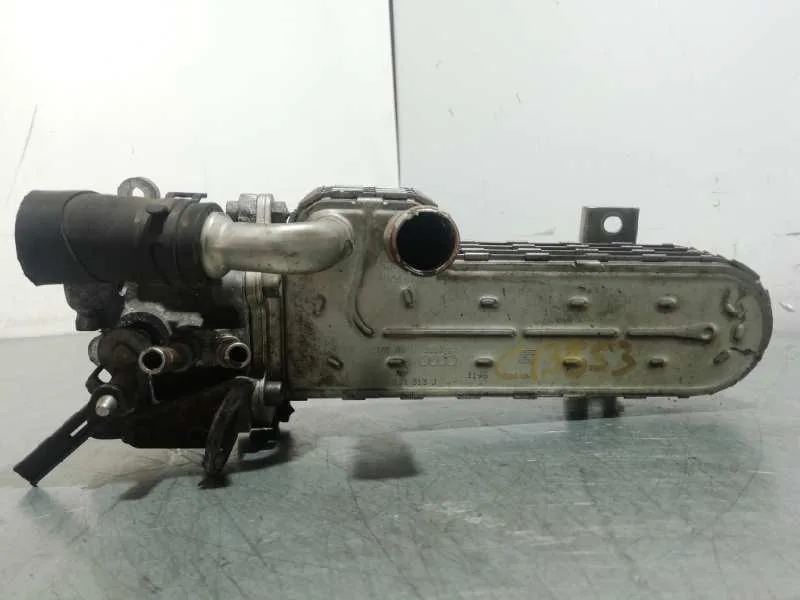 Enfriador Egr para Volkswagen Passat Berlina (3C2)