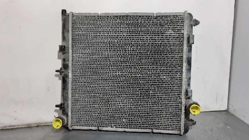 Radiador Agua para Citroën C2