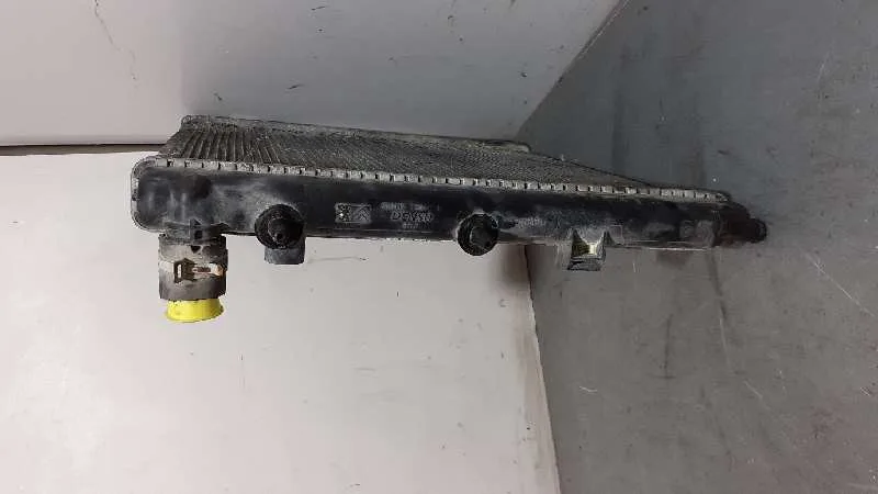 Radiador Agua para Citroën C2