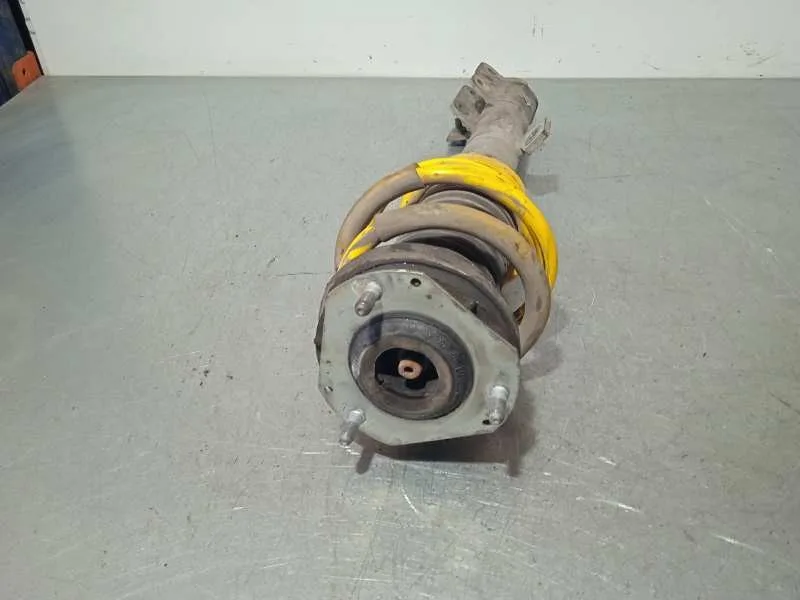 Amortiguador Delantero Derecho para Ford Fiesta (Cb1)