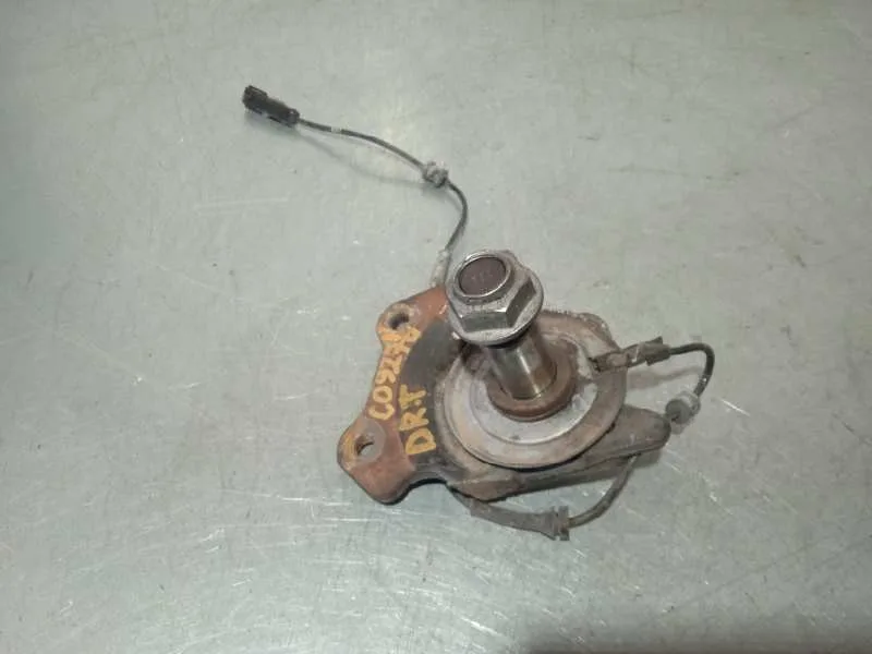 Buje para Renault Laguna Iii
