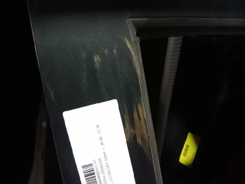Puerta Delantera Derecha para Kia Carnival