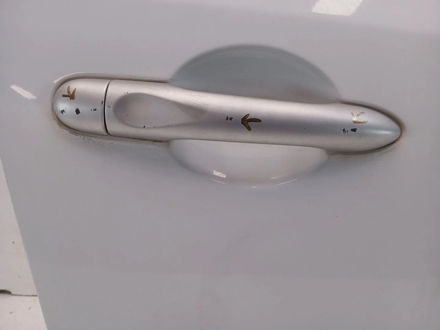 Puerta Delantera Derecha para Renault Megane Iii Sport Tourer