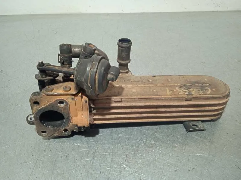 Enfriador Egr para Volkswagen Golf V Berlina (1K1)