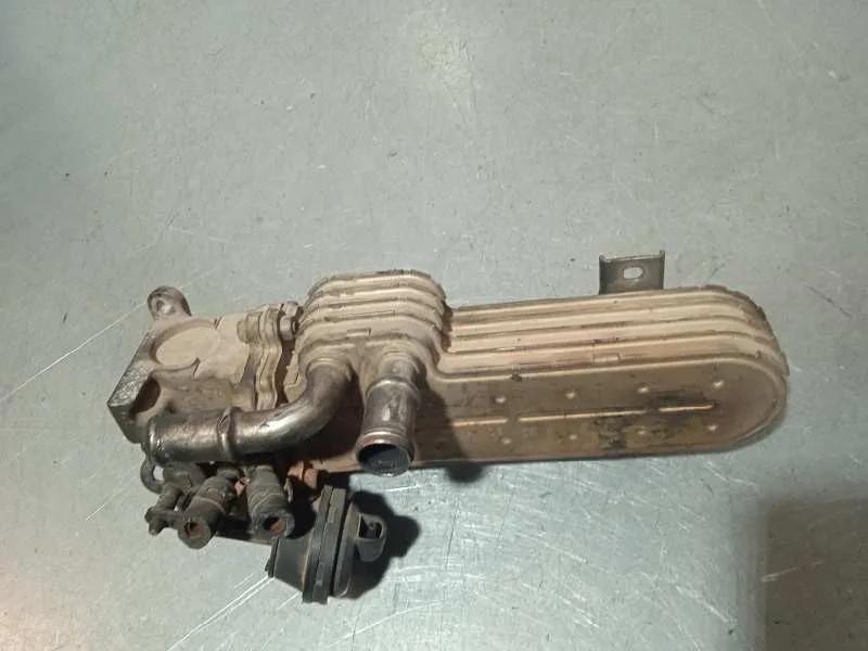 Enfriador Egr para Volkswagen Golf V Berlina (1K1)