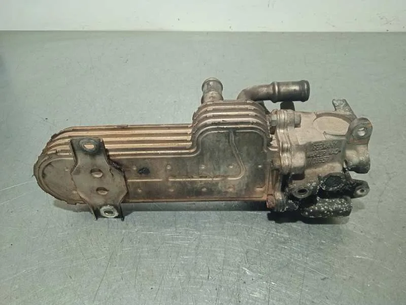 Enfriador Egr para Volkswagen Golf V Berlina (1K1)