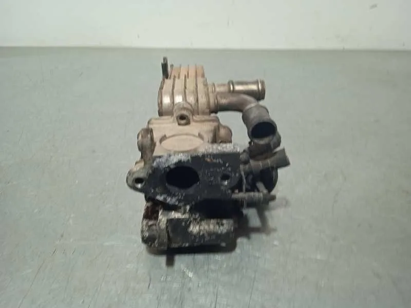 Enfriador Egr para Volkswagen Golf V Berlina (1K1)