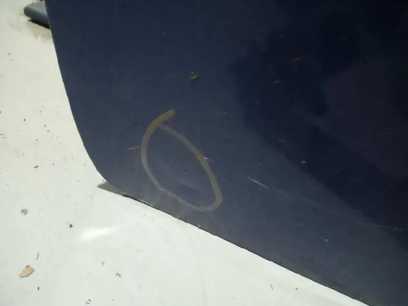 Puerta Delantera Izquierda para Fiat Grande Punto (199)