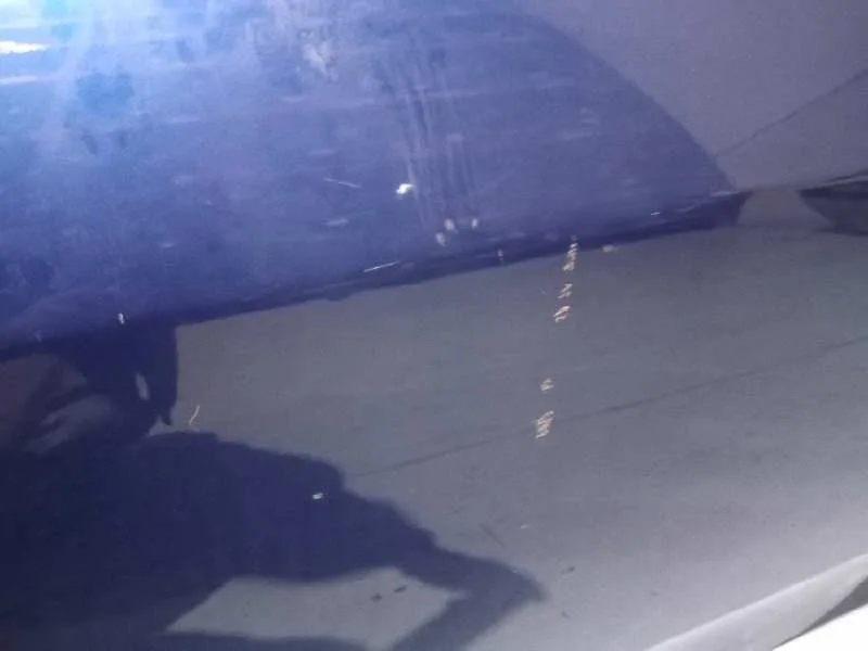 Puerta Delantera Izquierda para Fiat Grande Punto (199)
