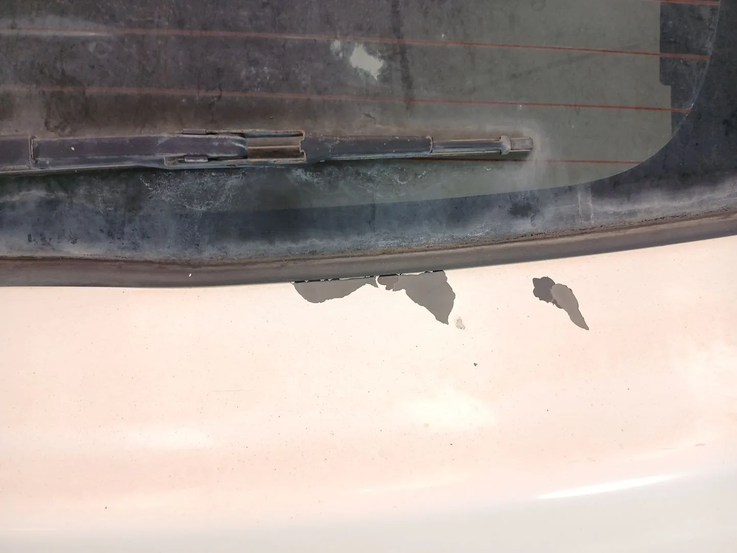 Porton Trasero para Dodge Caliber