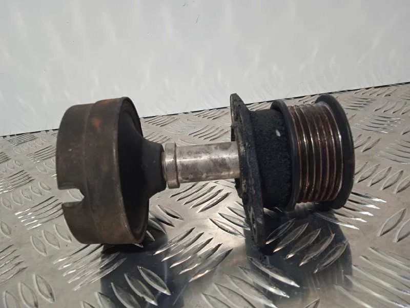 Polea Alternador para Ford Focus Berlina (Cak)