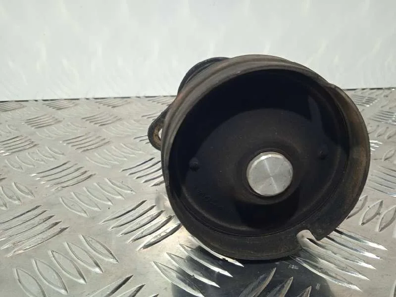 Polea Alternador para Ford Focus Berlina (Cak)