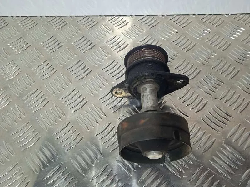 Polea Alternador para Ford Focus Berlina (Cak)