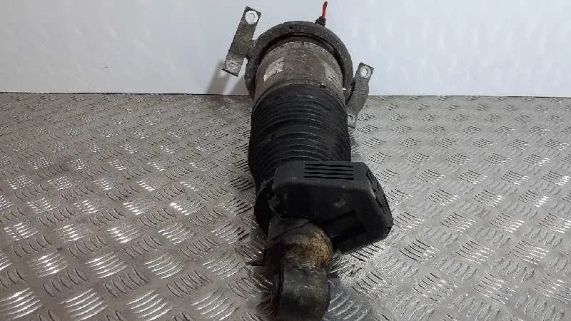 Amortiguador Trasero Izquierdo para Audi Q7 (4L)