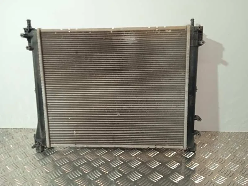 Radiador Agua para Lancia Ypsilon (402)