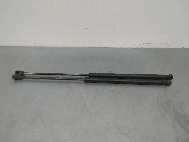 Amortiguadores Maletero / Porton para Lancia Ypsilon (402)
