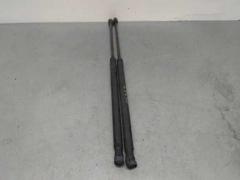 Amortiguadores Maletero / Porton para Lancia Ypsilon (402)