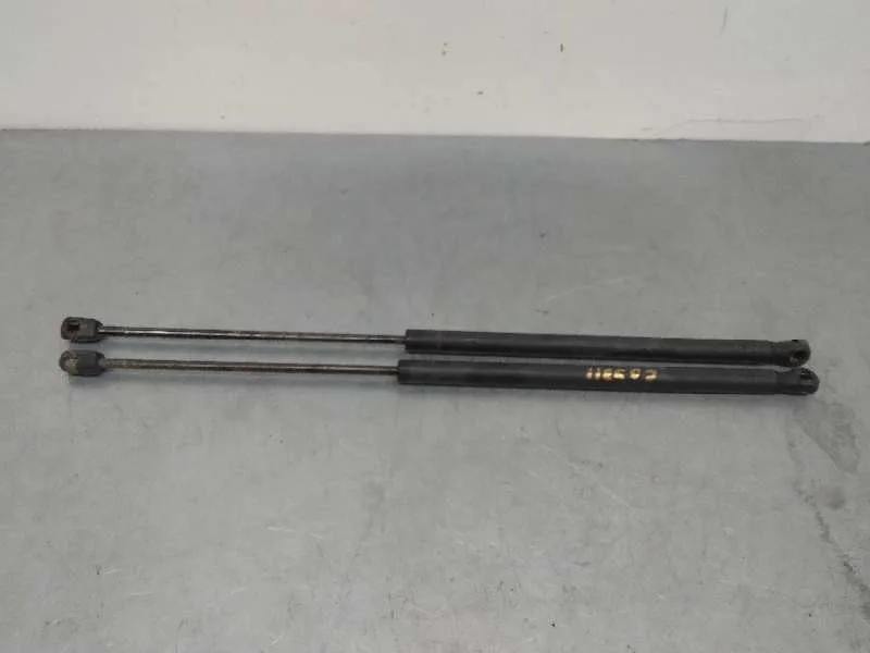 Amortiguadores Maletero / Porton para Lancia Ypsilon (402)