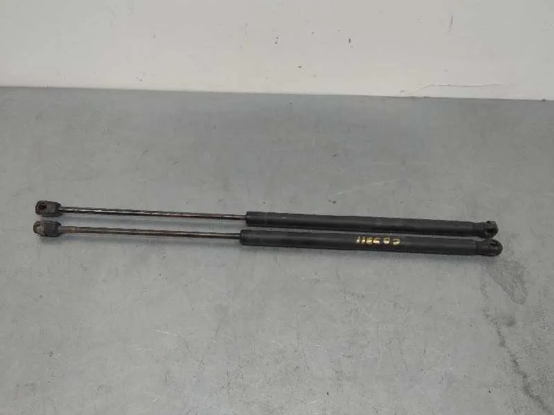 Amortiguadores Maletero / Porton para Lancia Ypsilon (402)