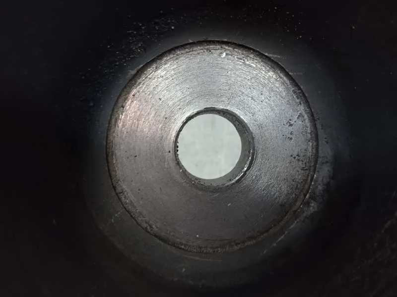 Polea Ciguenal para Tata Safari