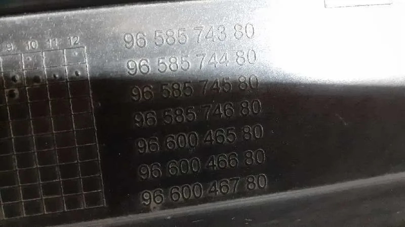 Panel Frontal para Citroën C4 Picasso