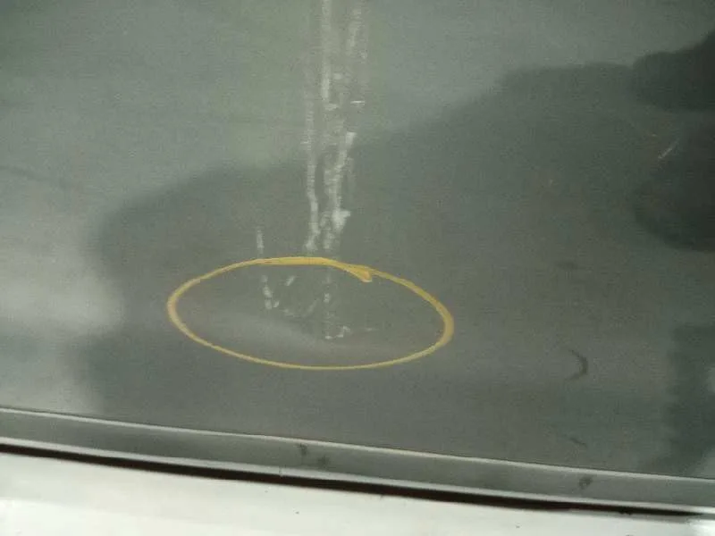 Puerta Trasera Izquierda para Citroën C5 Berlina