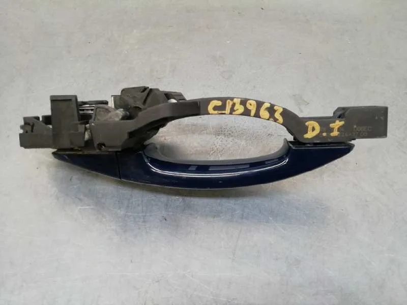 Maneta Exterior Delantera Izquierda para Ford Kuga (Cbs)