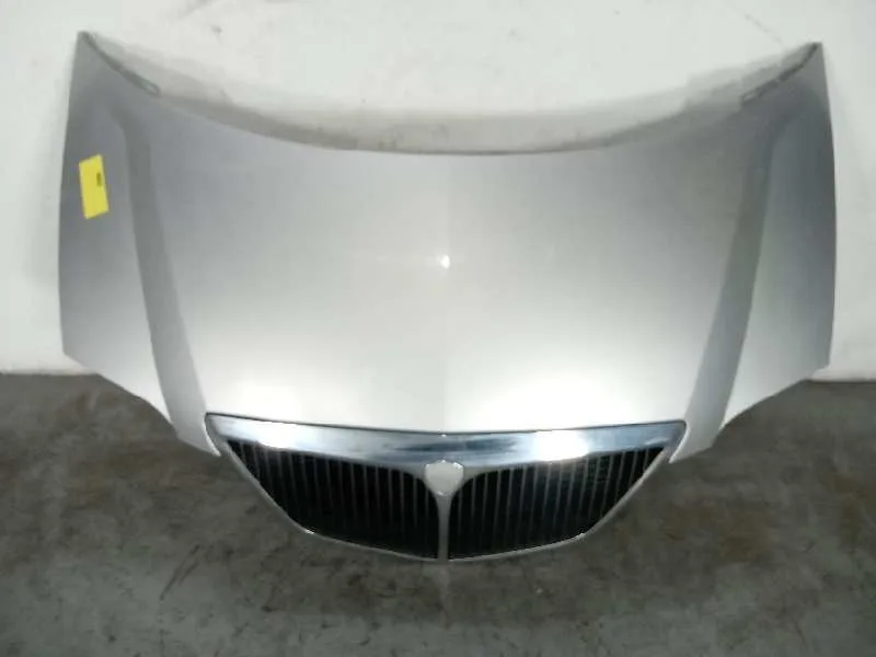 Capot para Lancia Phedra (180)