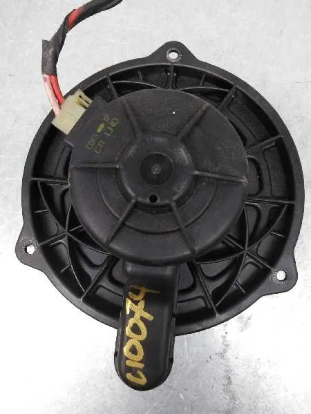 Motor Calefaccion para Hyundai Santa Fe (Bm)
