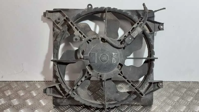 Electroventilador para Hyundai Santa Fe (Bm)