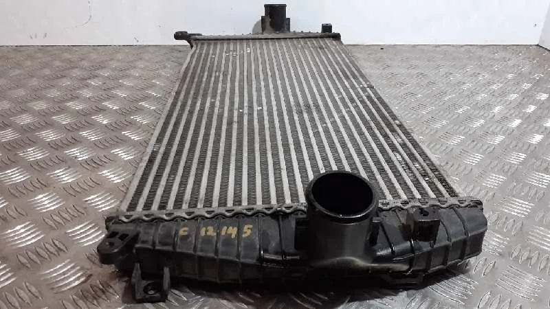 Intercooler para Kia Carens (Un)