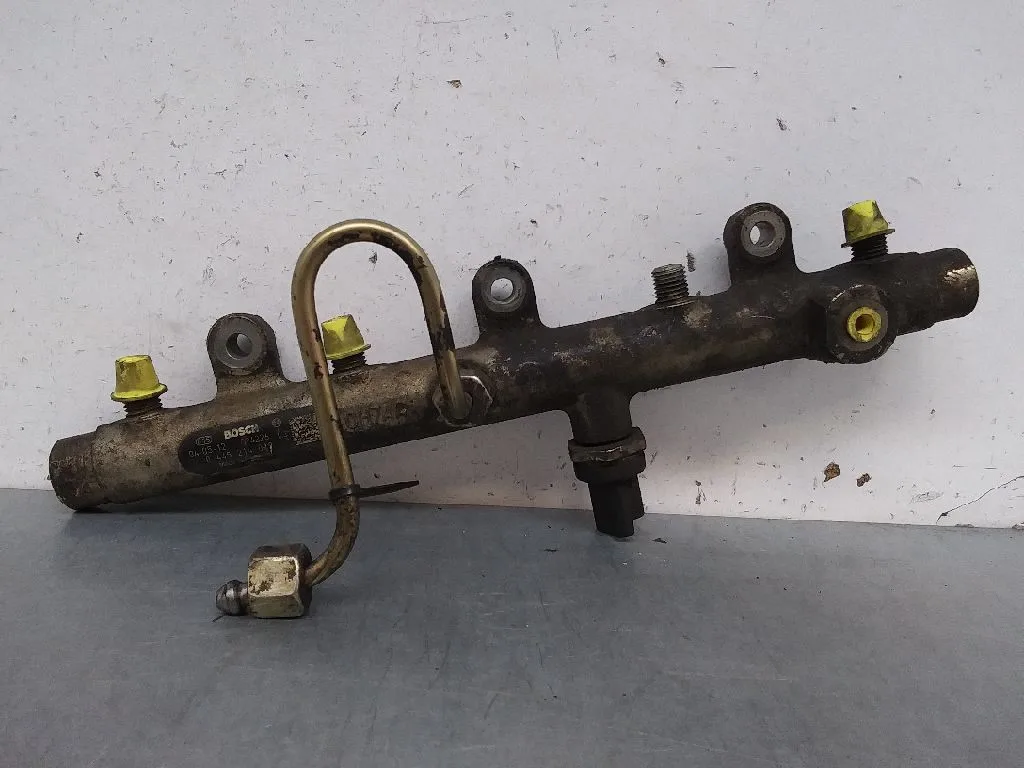 Rampa Inyectora para Peugeot 406 Berlina (S1/S2)