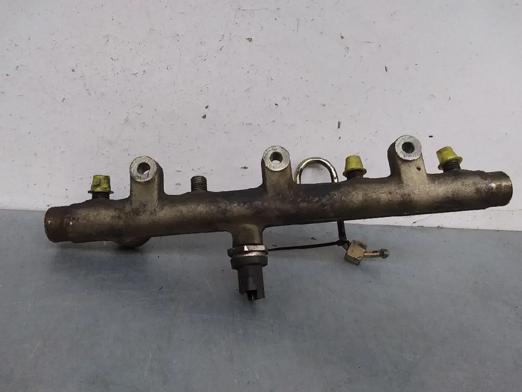 Rampa Inyectora para Peugeot 406 Berlina (S1/S2)