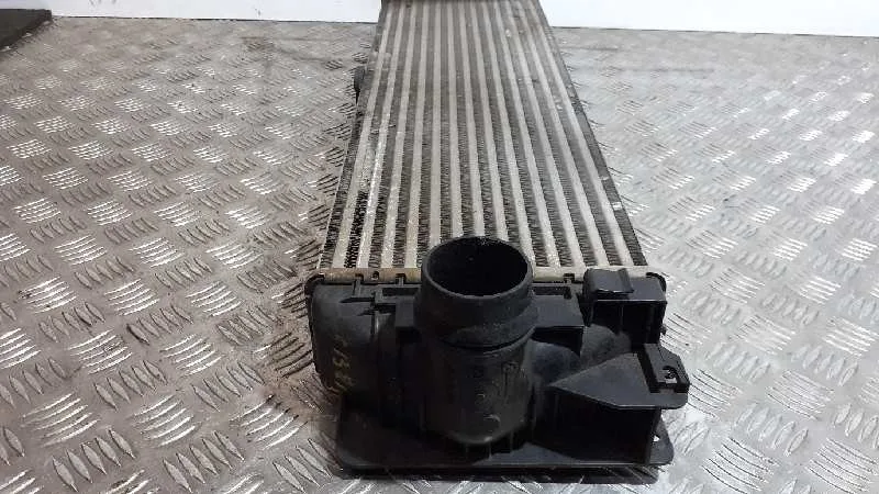 Intercooler para Mercedes-Benz Sprinter Ii James Cook (906)