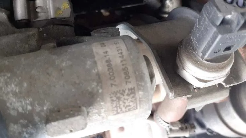 Despiece Motor para Renault Scenic Iii