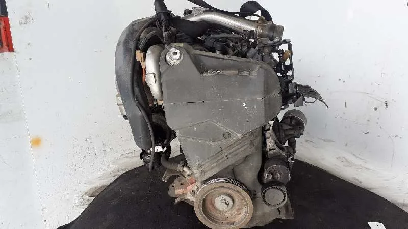 Despiece Motor para Renault Scenic Iii