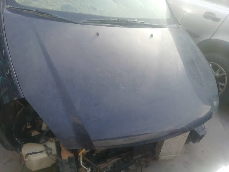 Capot para Kia Carnival